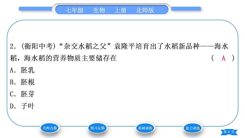 北师大版七年级生物上第3单元生物圈中的绿色植物第6章绿色开花植物的生活史第1节种子萌发形成幼苗第1课时种子的结构和功能习题课件08