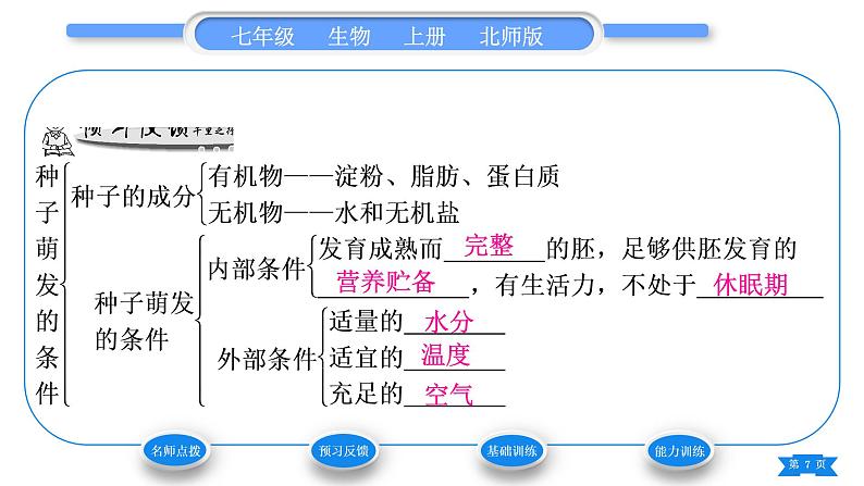 北师大版七年级生物上第3单元生物圈中的绿色植物第6章绿色开花植物的生活史第1节种子萌发形成幼苗第2课时种子萌发的条件习题课件第7页