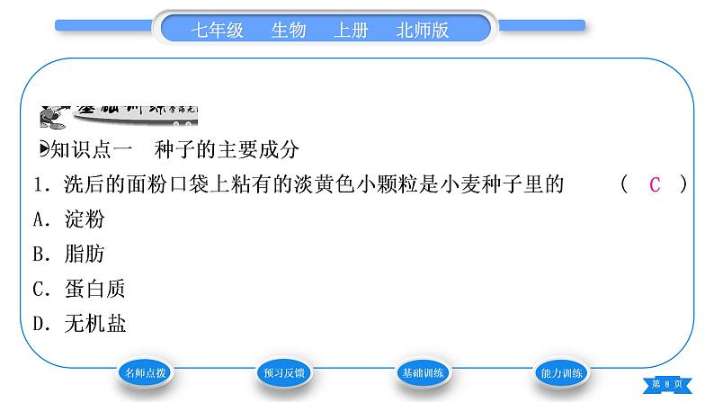 北师大版七年级生物上第3单元生物圈中的绿色植物第6章绿色开花植物的生活史第1节种子萌发形成幼苗第2课时种子萌发的条件习题课件第8页