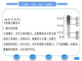 北师大版七年级生物上第3单元生物圈中的绿色植物第6章绿色开花植物的生活史第2节营养器官的生长习题课件