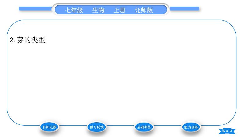 北师大版七年级生物上第3单元生物圈中的绿色植物第6章绿色开花植物的生活史第2节营养器官的生长习题课件第3页