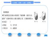 北师大版七年级生物上第3单元生物圈中的绿色植物第6章绿色开花植物的生活史第2节营养器官的生长习题课件