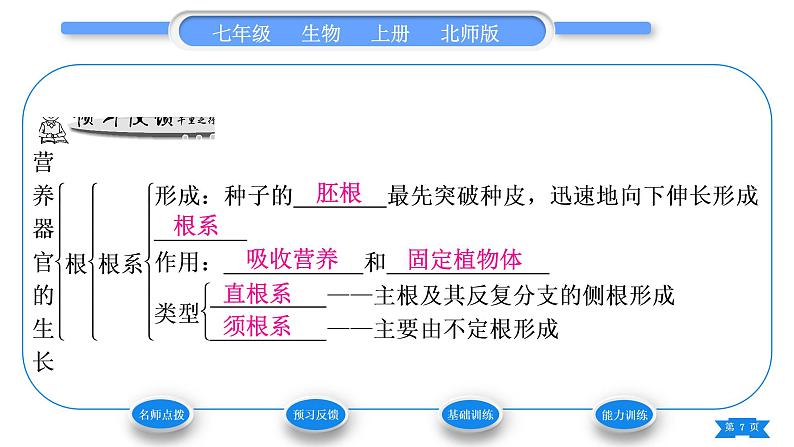 北师大版七年级生物上第3单元生物圈中的绿色植物第6章绿色开花植物的生活史第2节营养器官的生长习题课件第7页