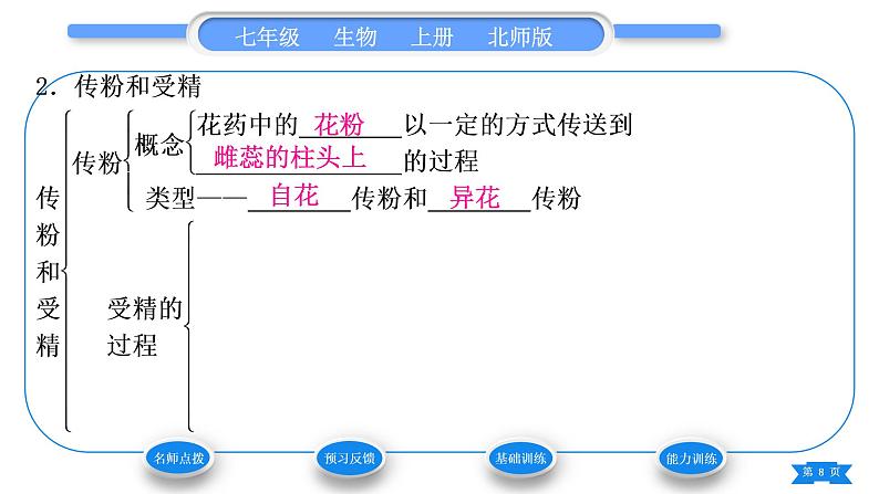 北师大版七年级生物上第3单元生物圈中的绿色植物第6章绿色开花植物的生活史第3节生殖器官的生长习题课件08