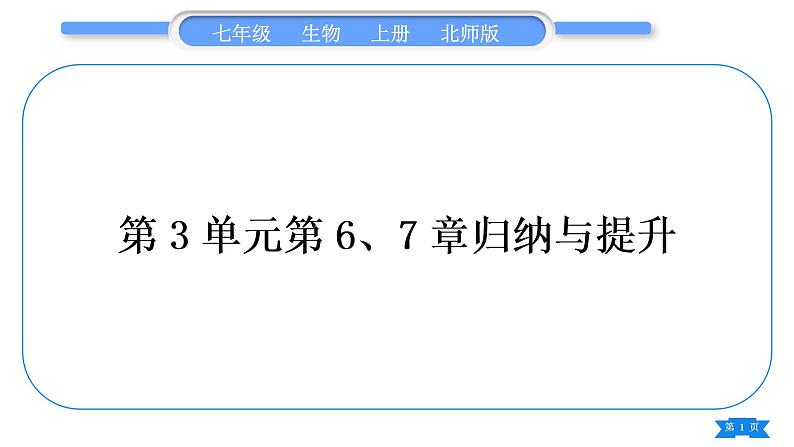 北师大版七年级生物上第3单元生物圈中的绿色植物第6、7章归纳与提升习题课件第1页