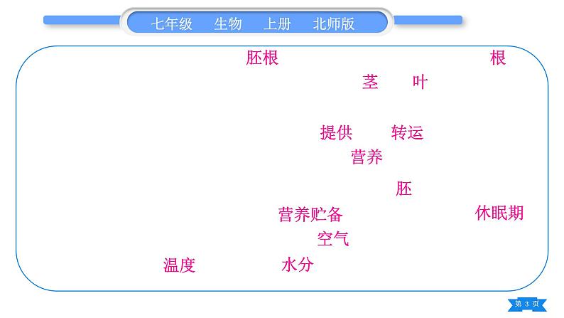 北师大版七年级生物上第3单元生物圈中的绿色植物第6、7章归纳与提升习题课件第3页