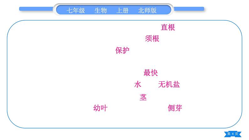 北师大版七年级生物上第3单元生物圈中的绿色植物第6、7章归纳与提升习题课件第4页