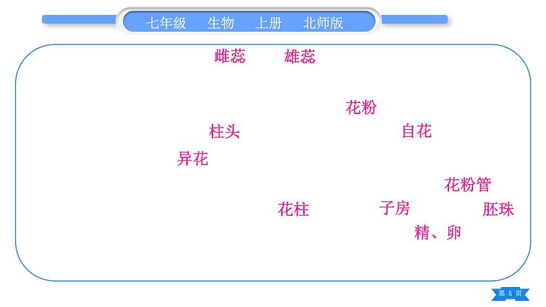 北师大版七年级生物上第3单元生物圈中的绿色植物第6、7章归纳与提升习题课件第5页