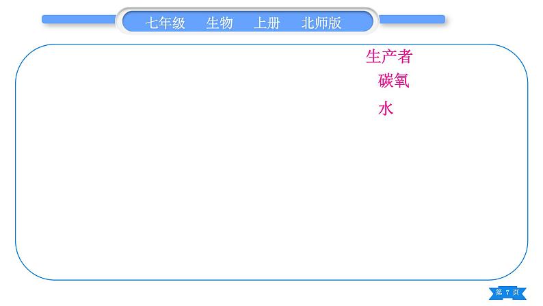 北师大版七年级生物上第3单元生物圈中的绿色植物第6、7章归纳与提升习题课件第7页