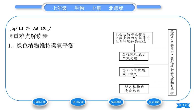 北师大版七年级生物上第3单元生物圈中的绿色植物第7章绿色植物与生物圈第1节绿色植物在生物圈中的作用习题课件02