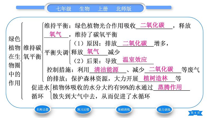 北师大版七年级生物上第3单元生物圈中的绿色植物第7章绿色植物与生物圈第1节绿色植物在生物圈中的作用习题课件08