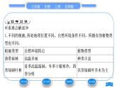 北师大版七年级生物上第3单元生物圈中的绿色植物第7章绿色植物与生物圈第2节我国的植物资源习题课件