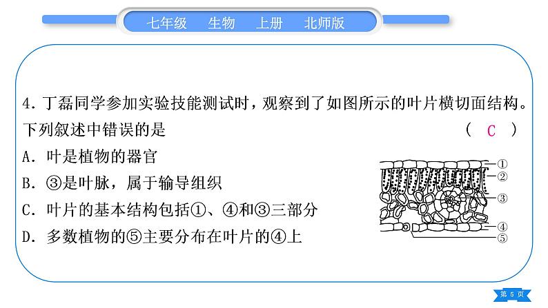 北师大版七年级生物上第3单元第5章期末复习习题课件第5页