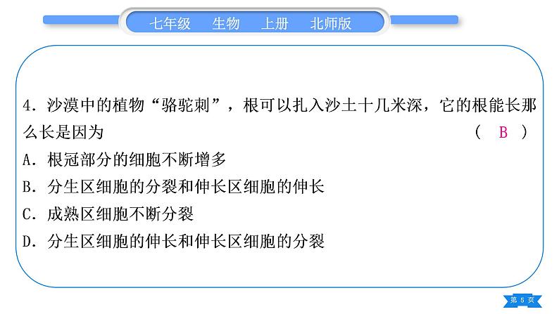 北师大版七年级生物上第3单元第6、7章期末复习习题课件第5页