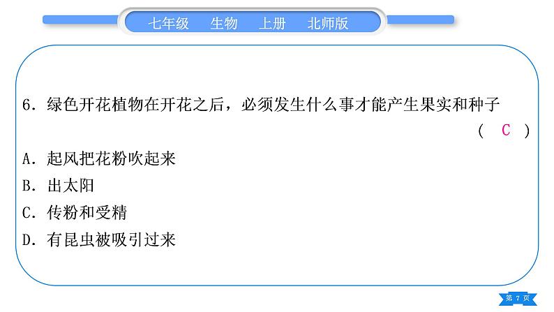 北师大版七年级生物上第3单元第6、7章期末复习习题课件第7页