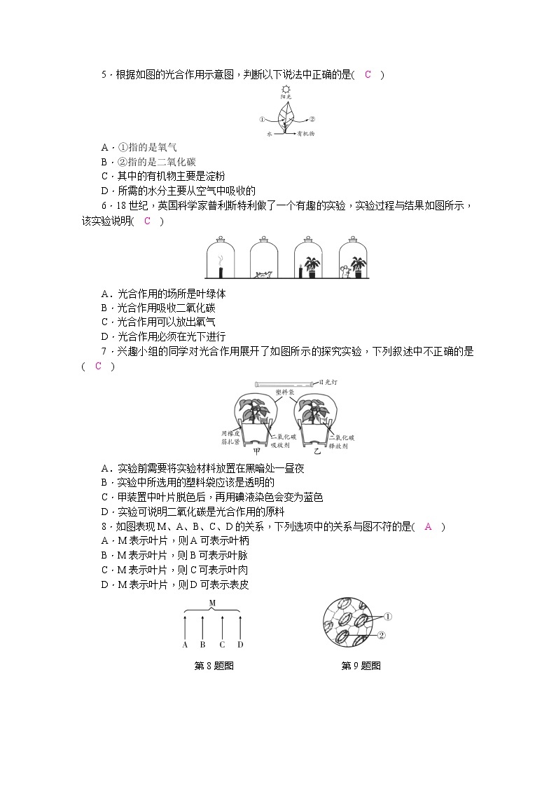 北师大版七年级生物上册第3单元第5章检测题(word版，含答案002