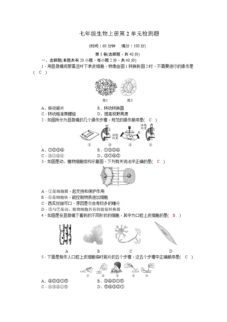 北师大版七年级生物上册第2单元检测题(word版，含答案)01