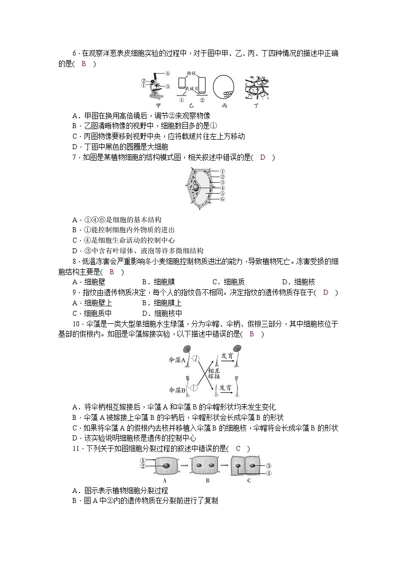 北师大版七年级生物上册第2单元检测题(word版，含答案)02