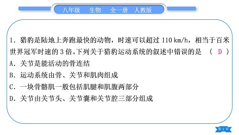 人教版八年级生物上第五单元生物圈中的其他生物专题二动物的运动与行为习题课件02