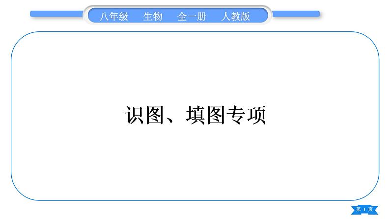 人教版八年级生物上识图、填图专项习题课件第1页