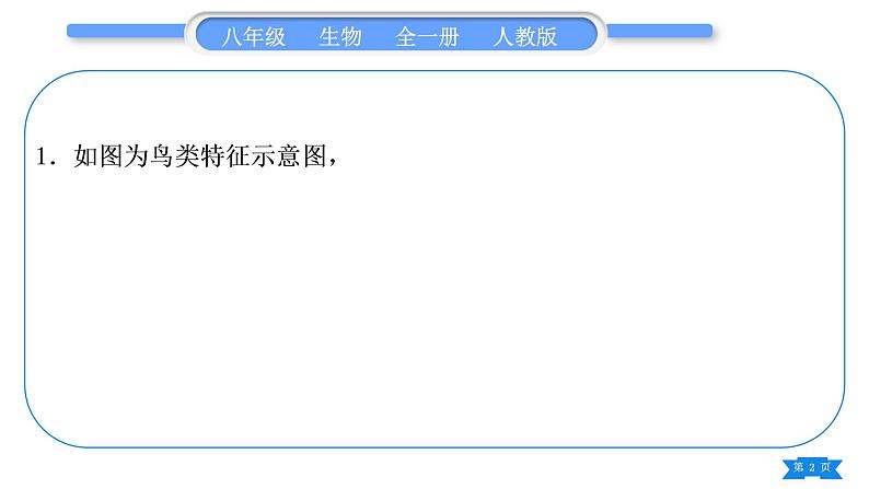 人教版八年级生物上识图、填图专项习题课件第2页