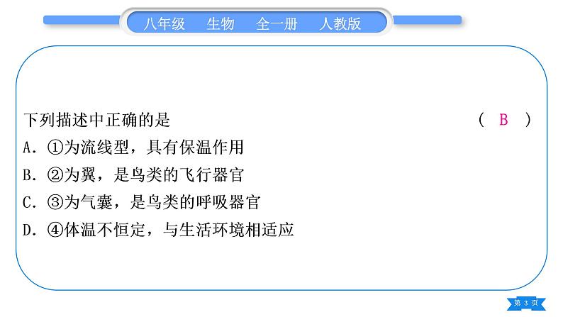 人教版八年级生物上识图、填图专项习题课件第3页