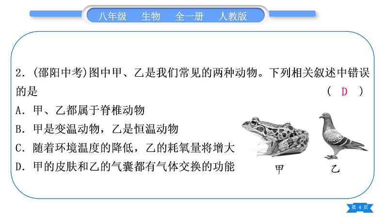 人教版八年级生物上识图、填图专项习题课件第4页