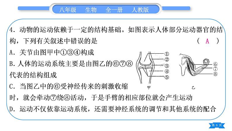 人教版八年级生物上识图、填图专项习题课件第6页