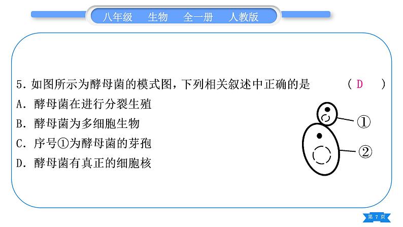 人教版八年级生物上识图、填图专项习题课件第7页