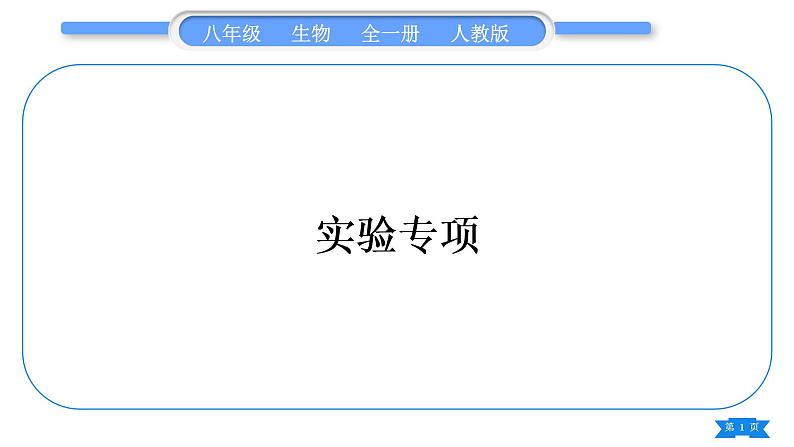 人教版八年级生物上实验专项习题课件第1页