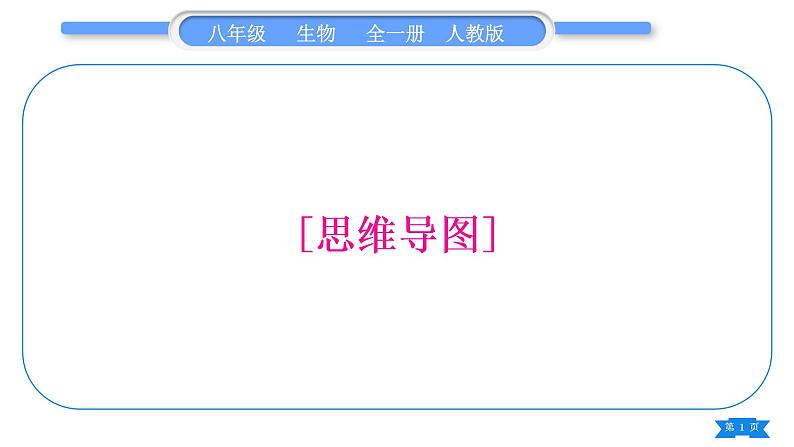 人教版八年级生物上思维导图习题课件01