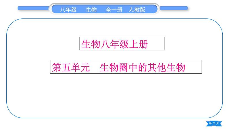 人教版八年级生物上思维导图习题课件02