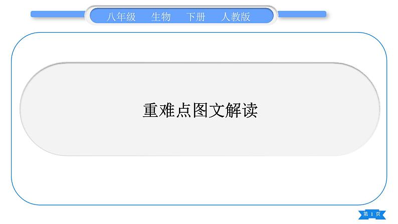 人教版八年级生物下重难点图文解读复习课件第1页