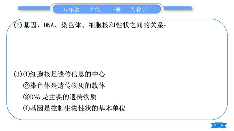 人教版八年级生物下重难点图文解读复习课件第3页