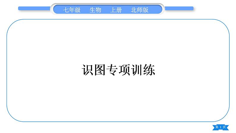 北师大版七年级生物上识图专项训练习题课件01