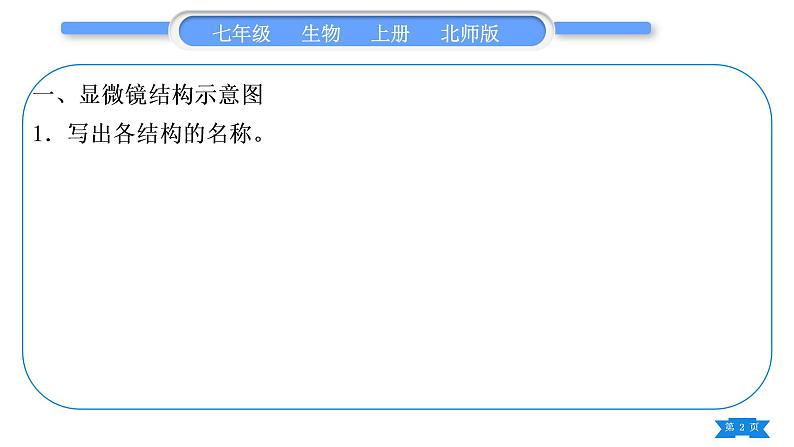 北师大版七年级生物上识图专项训练习题课件02