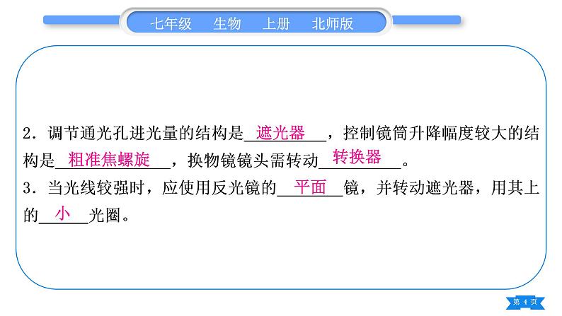北师大版七年级生物上识图专项训练习题课件04