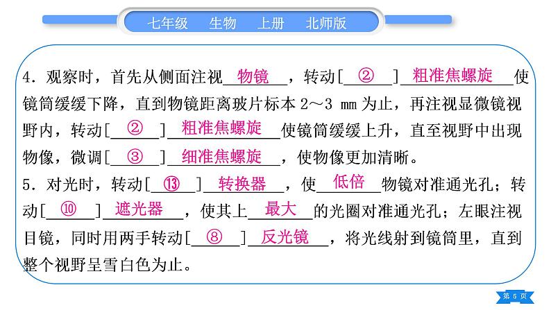 北师大版七年级生物上识图专项训练习题课件05