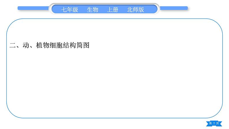 北师大版七年级生物上识图专项训练习题课件07