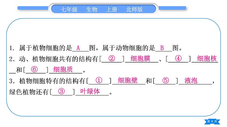 北师大版七年级生物上识图专项训练习题课件08