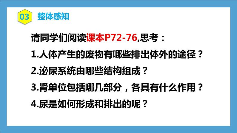 4.5《人体内废物的排出》课件第5页