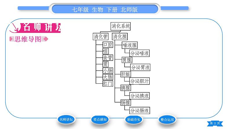 北师大版七年级生物下第4单元生物圈中的人第8章人体的营养第2节食物的消化和营养物质的吸收第1课时消化系统的组成、食物在口腔内的消化习题课件第2页