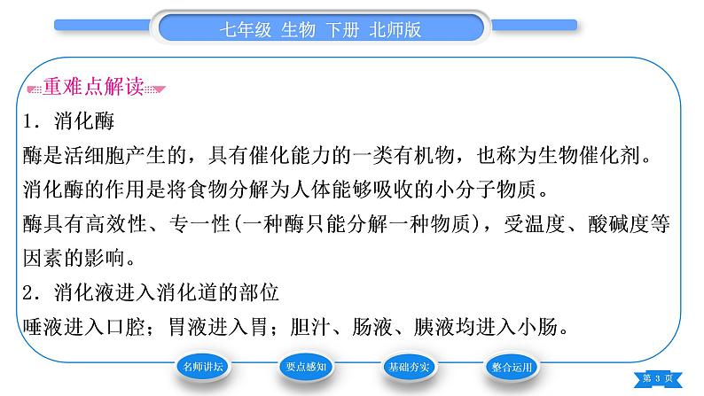 北师大版七年级生物下第4单元生物圈中的人第8章人体的营养第2节食物的消化和营养物质的吸收第1课时消化系统的组成、食物在口腔内的消化习题课件第3页