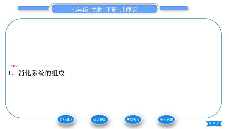 北师大版七年级生物下第4单元生物圈中的人第8章人体的营养第2节食物的消化和营养物质的吸收第1课时消化系统的组成、食物在口腔内的消化习题课件第5页