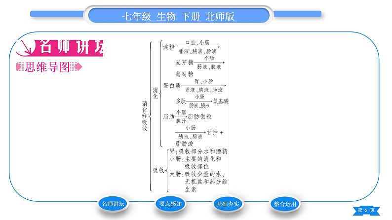 北师大版七年级生物下第4单元生物圈中的人第8章人体的营养第2节食物的消化和营养物质的吸收第2课时食物在胃和小肠的消化及营养物质的吸收习题课件02