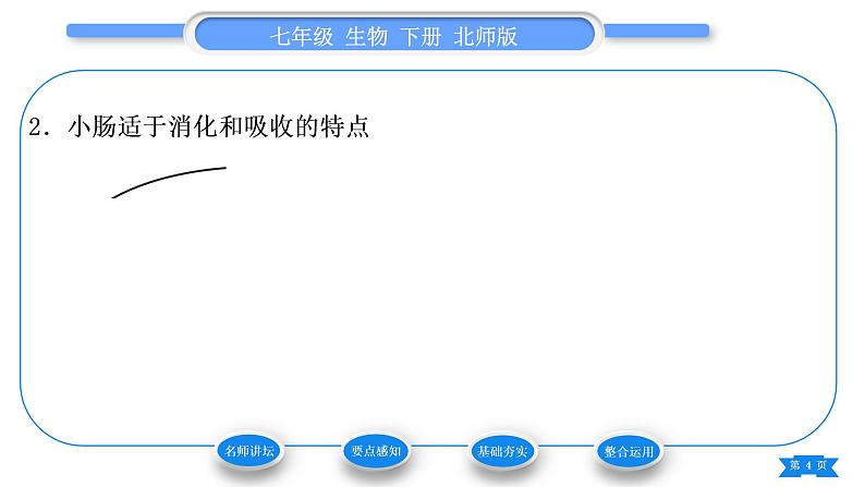 北师大版七年级生物下第4单元生物圈中的人第8章人体的营养第2节食物的消化和营养物质的吸收第2课时食物在胃和小肠的消化及营养物质的吸收习题课件04