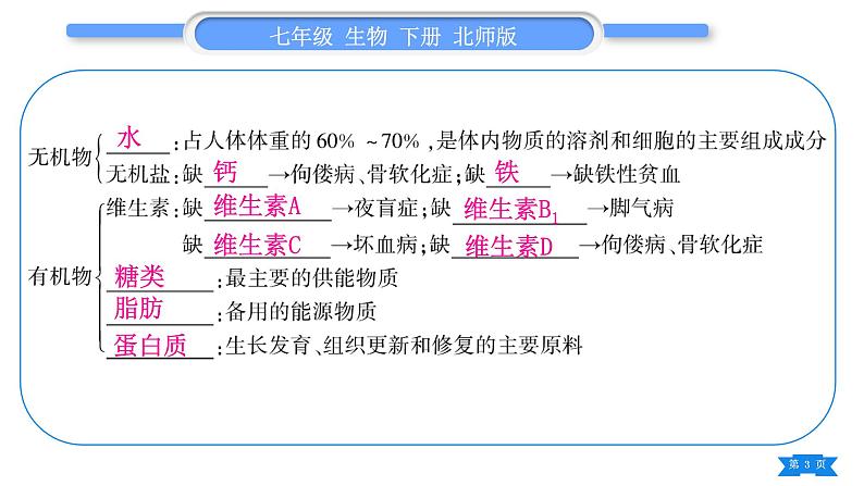 北师大版七年级生物下第4单元生物圈中的人第8、9章复习与提升习题课件第3页