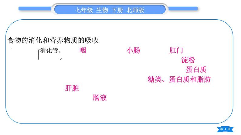 北师大版七年级生物下第4单元生物圈中的人第8、9章复习与提升习题课件第4页