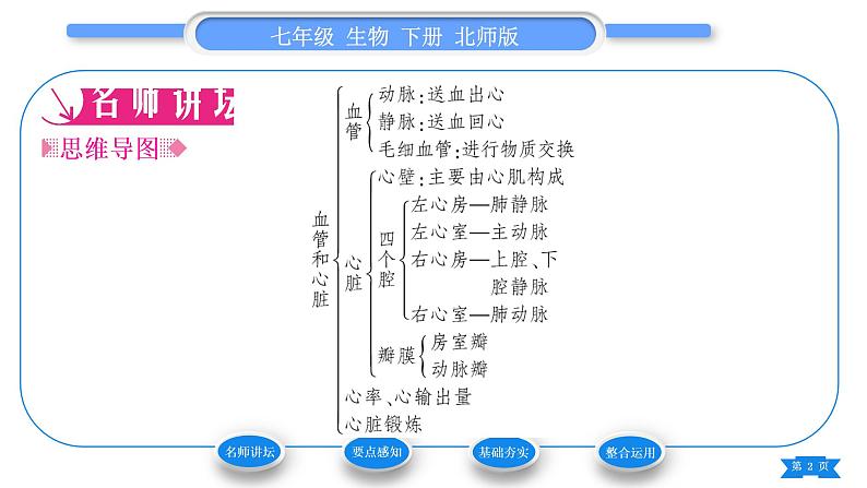 北师大版七年级生物下第4单元生物圈中的人第9章人体内的物质运输第2节血液循环第1课时血管和心脏习题课件02