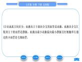 北师大版七年级生物下第4单元生物圈中的人第9章人体内的物质运输第2节血液循环第1课时血管和心脏习题课件